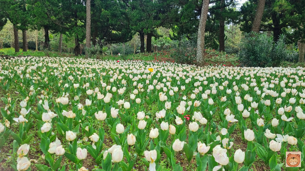 한림공원
