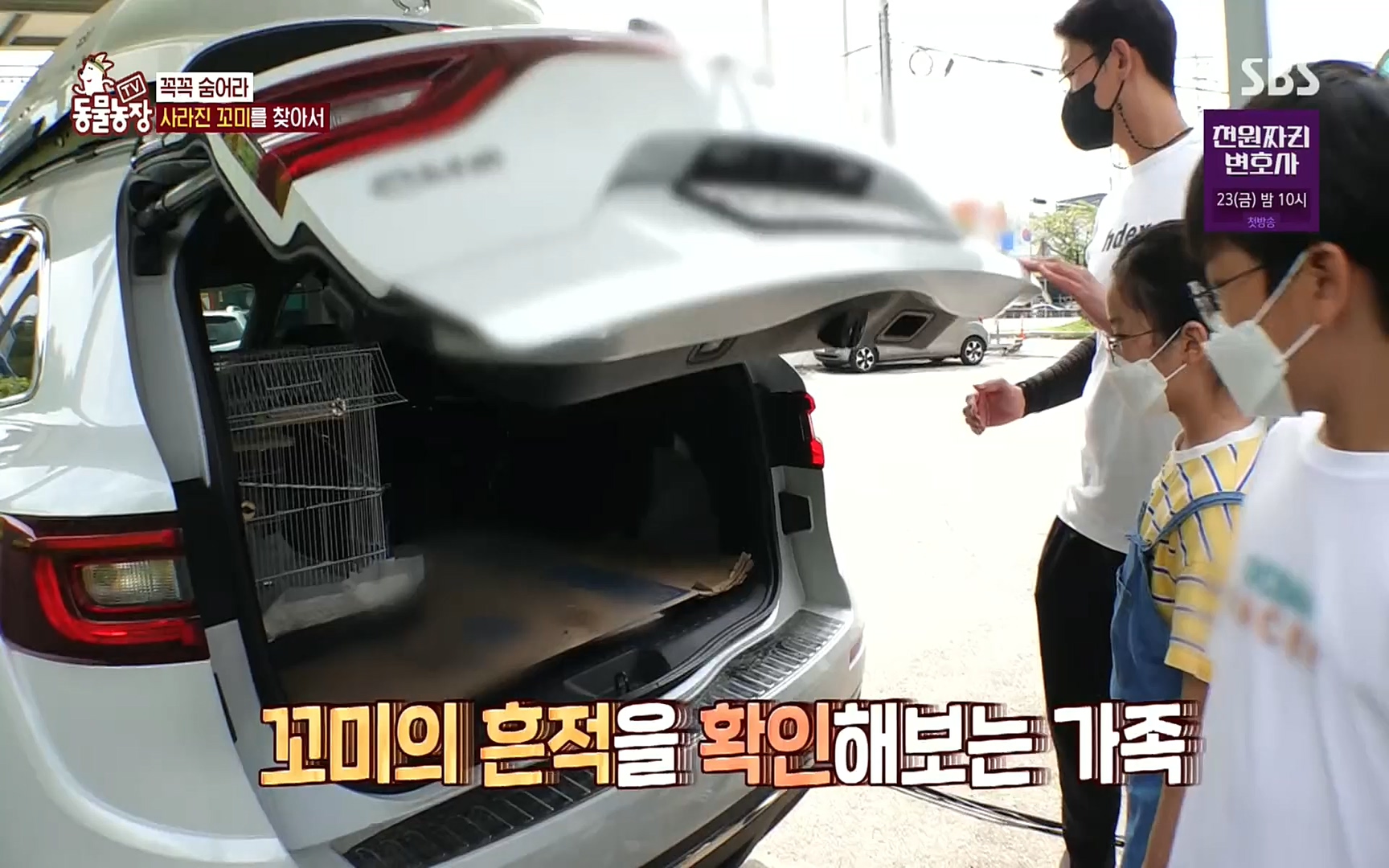 TV 동물농장.E1086.220911p.H264-F1RST.mp4_20220911_175405.356.jpg