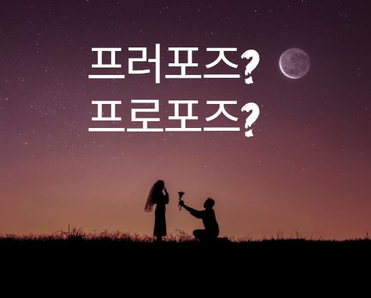  [맞춤법 바로알기] 프러포즈 프로포즈 올바른 표현법은?