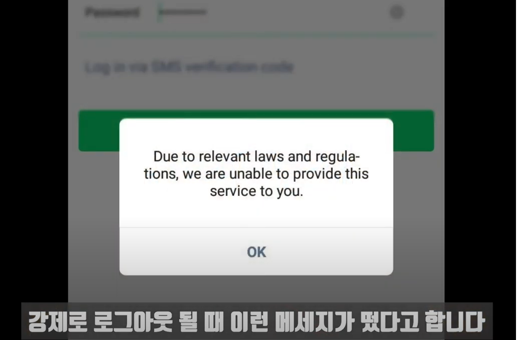  알리알리 차이나