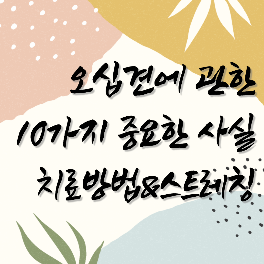  오십견 증상 원인 치료방법