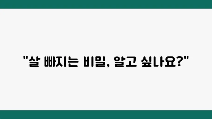 다이어트 보조제, 어떤 원리로 작용할까?
