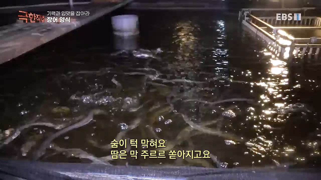 TV - 교육의 중심 EBS기력과 입맛을 잡아라 장어와 대게.mp4_20230313_183605.994.jpg