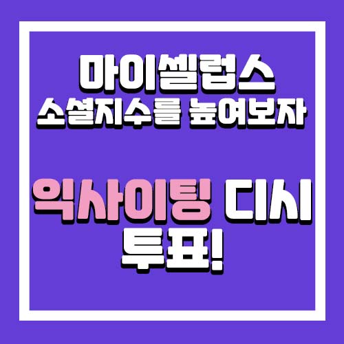  익사이팅 디시 투표 마이셀럽스 소셜지수 올리기
