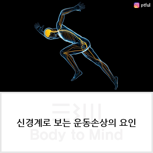  신경계(nervous system)로 보는 운동손상(movement impairment)의 요인