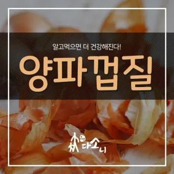 양파껍질 차 효능 영양성분_18