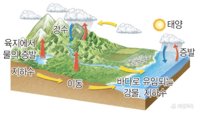 물의 순환