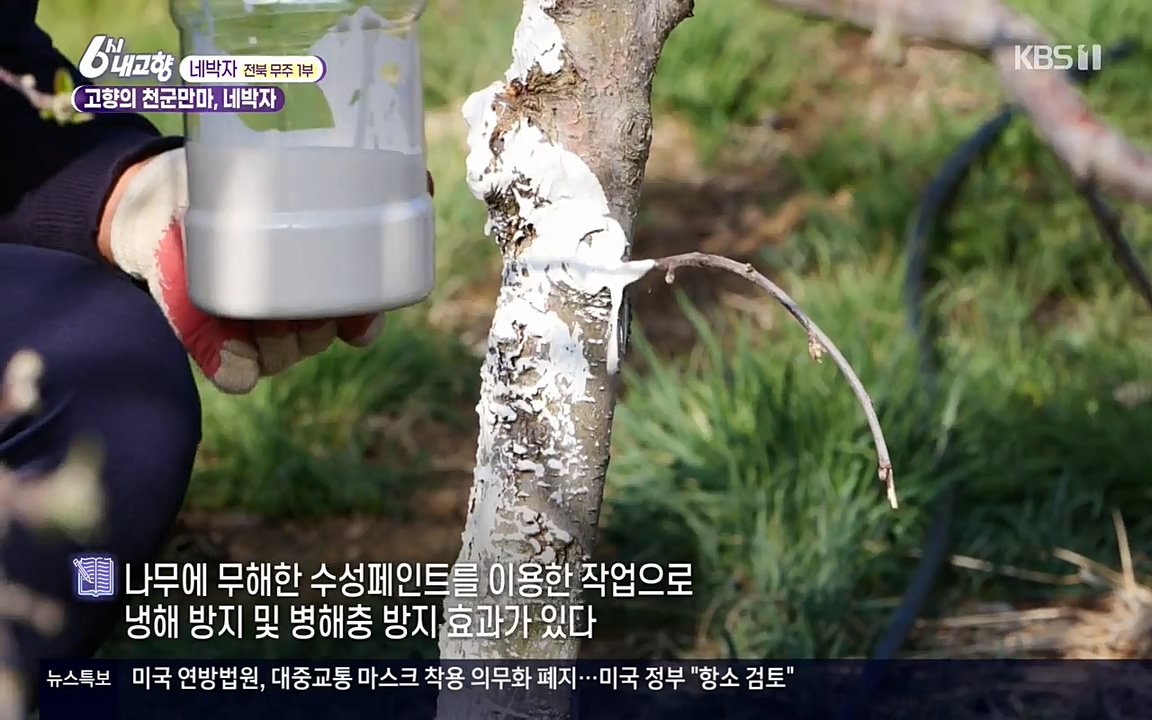 6시 내고향.E7523.220421p-NEXT.mp4_20220507_175728.537.jpg