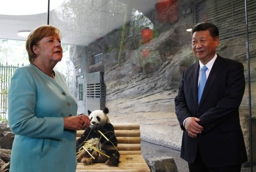 시진핑(오른쪽) 중국 국가주석과 앙겔라 메르켈 당시 독일 총리