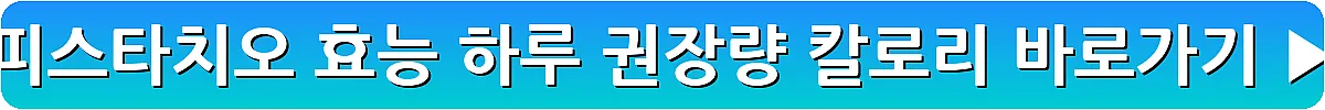 피스타치오 효능 하루 권장량 칼로리_12