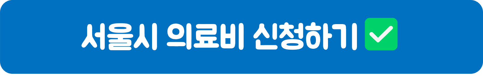 서울시 의료비 신청하기