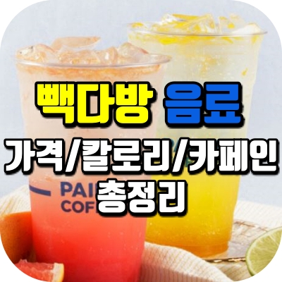 빽다방 음료 메뉴 칼로리 및 카페인