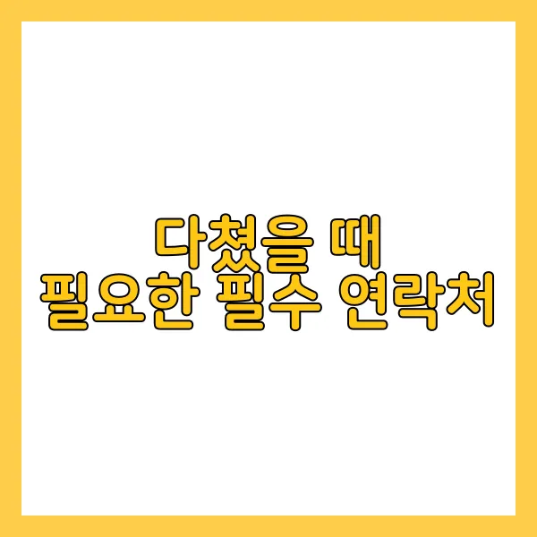 외국여행시