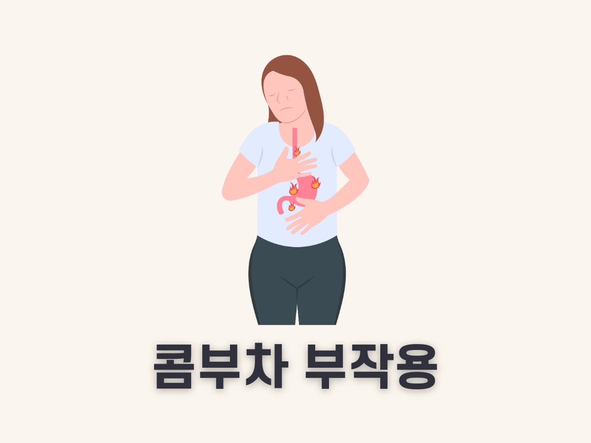 콤부차 부작용