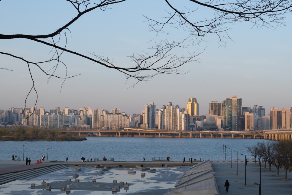 화요일엔화악 칼퇴하고 윤중로 산책.. 여의도윤중로 밤벚꽃구경.. 벚꽃만개.. 31