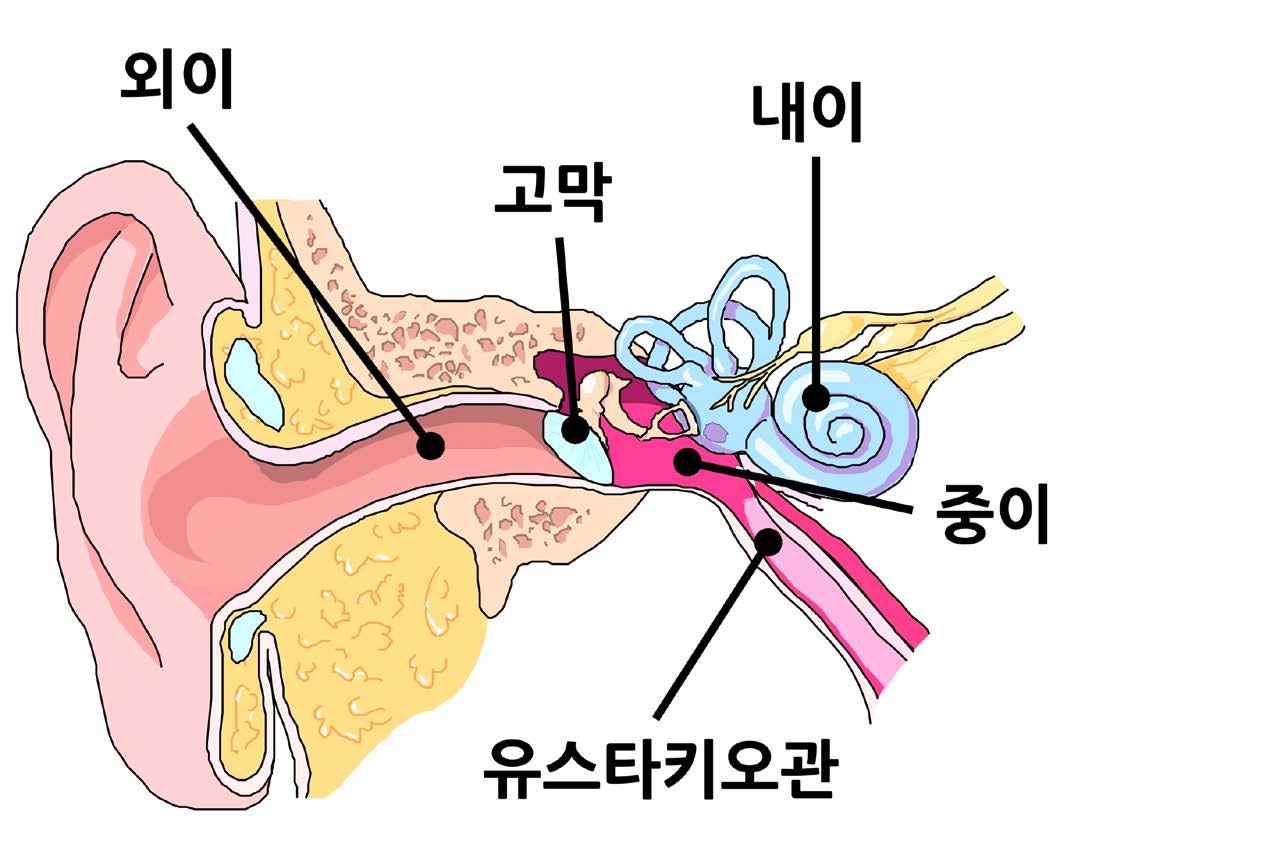 평형 이미지