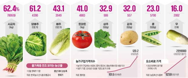 한경이네 농산물 이미지