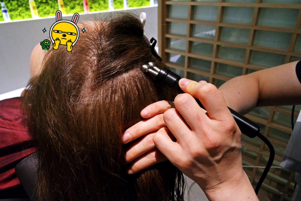 수원탈모케어 WT메소드 광교점 꼼꼼한 탈모관리
