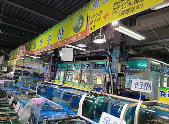 테디베어뮤지엄 군산