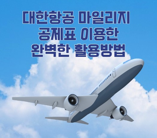 대한항공 마일리지 
공제표 이용한 
완벽한 활용방법