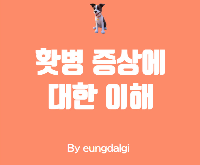  홧병 증상에 대한 이해