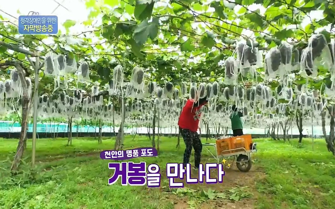 6시 내고향.E7583.220727p.H264-F1RST.mp4_20220727_213852.773.jpg