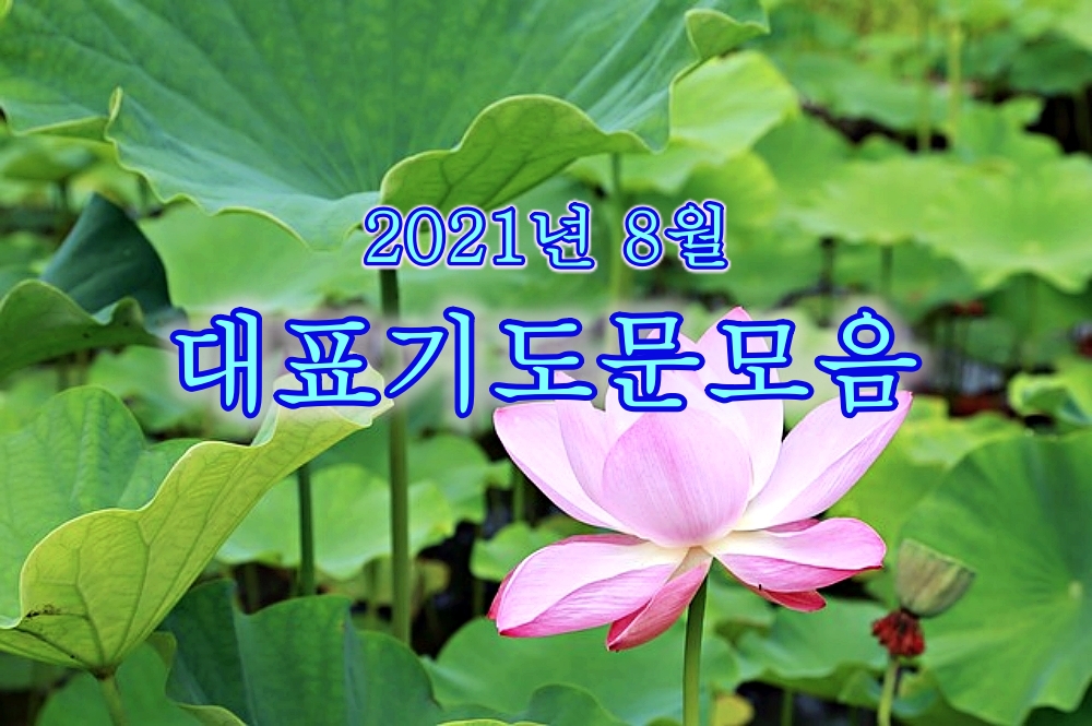  2021년 8월 대표기도문 모움