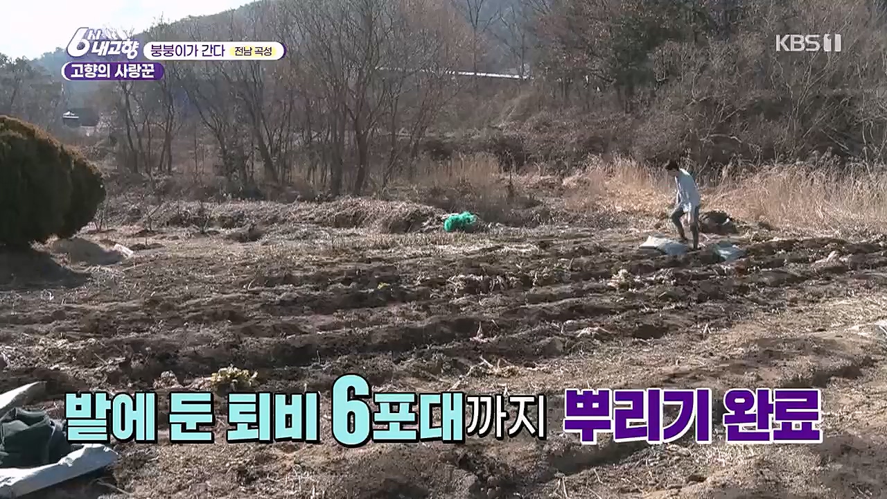 6시 내고향.E7744.230314p.H264-F1RST.mp4_20230314_175009.209.jpg