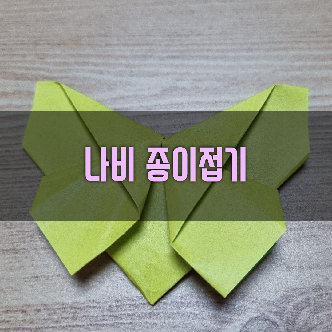 나비 종이접기 표지