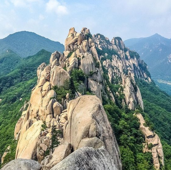  사주(오행)보는 방법과 사주에 금이 많으면?