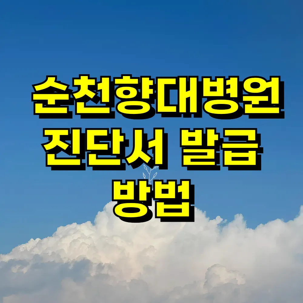 순천향대병원 진단서 발급 방법