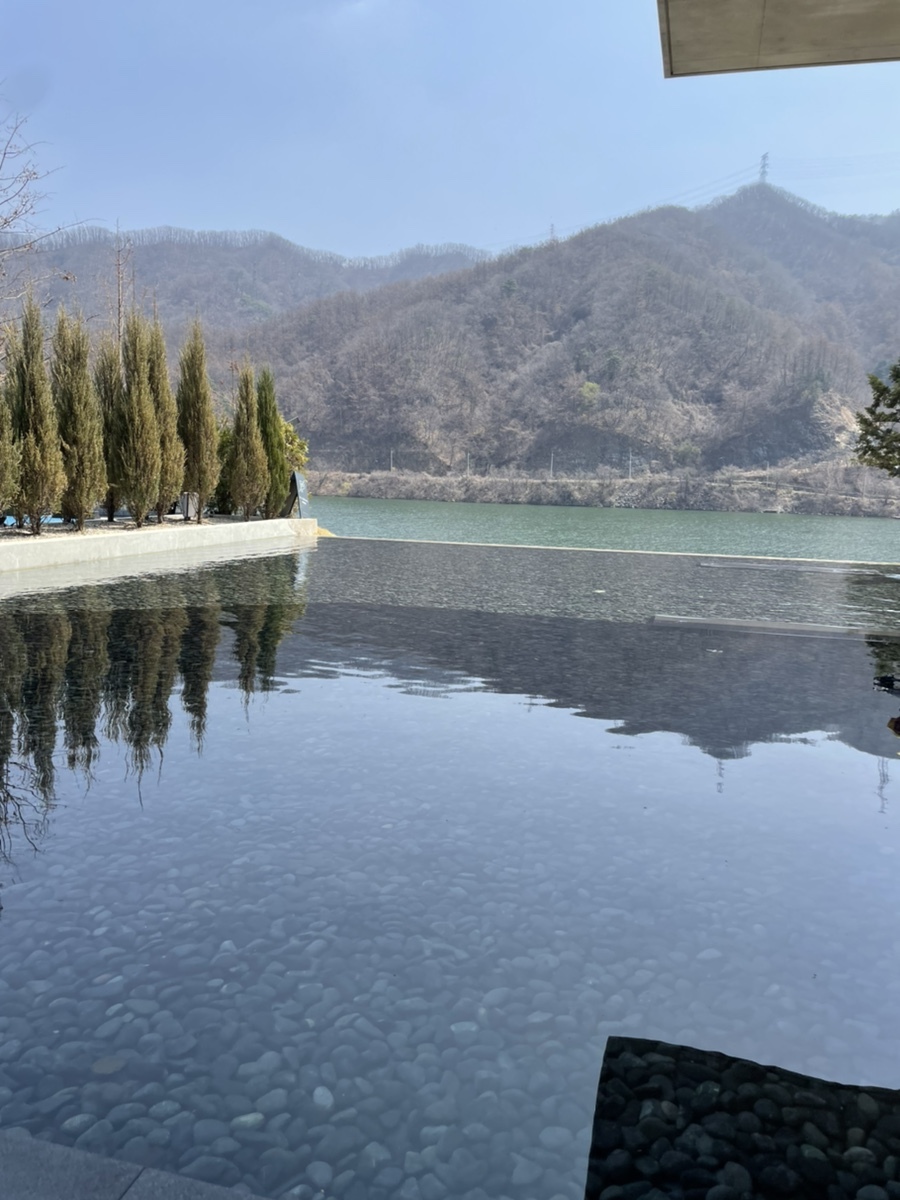 골든트리 이미지
