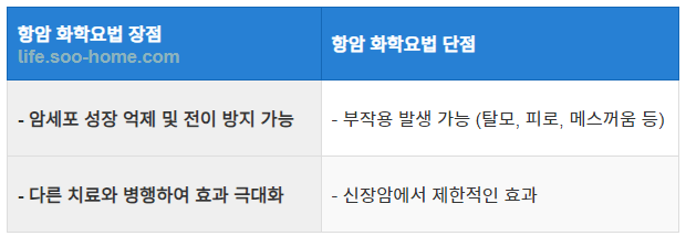 항암 화학요법