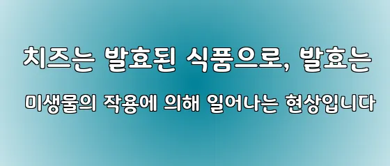  치즈는 발효된 식품으로, 발효는 미생물의 작용에 의해 일어나는 현상입니다