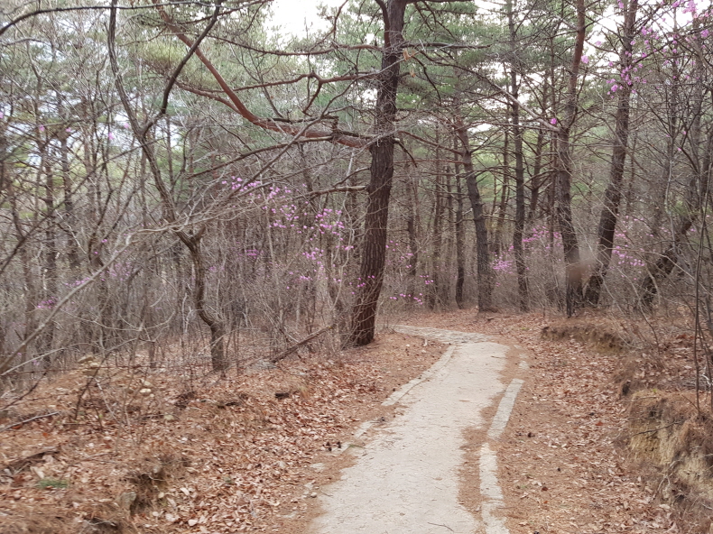 한국 명산 경남 밀양 여행 재약산 등산 mountain hiking