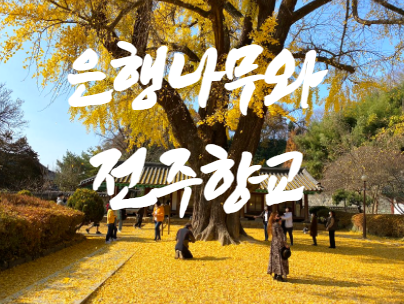  가을 분위기 만끽하기 좋은 곳, 전주 향교 은행나무