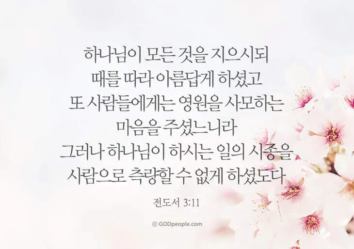 전도서 3장 모든일의 때 성경 해석_5