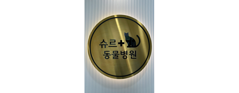 과천시 동물병원