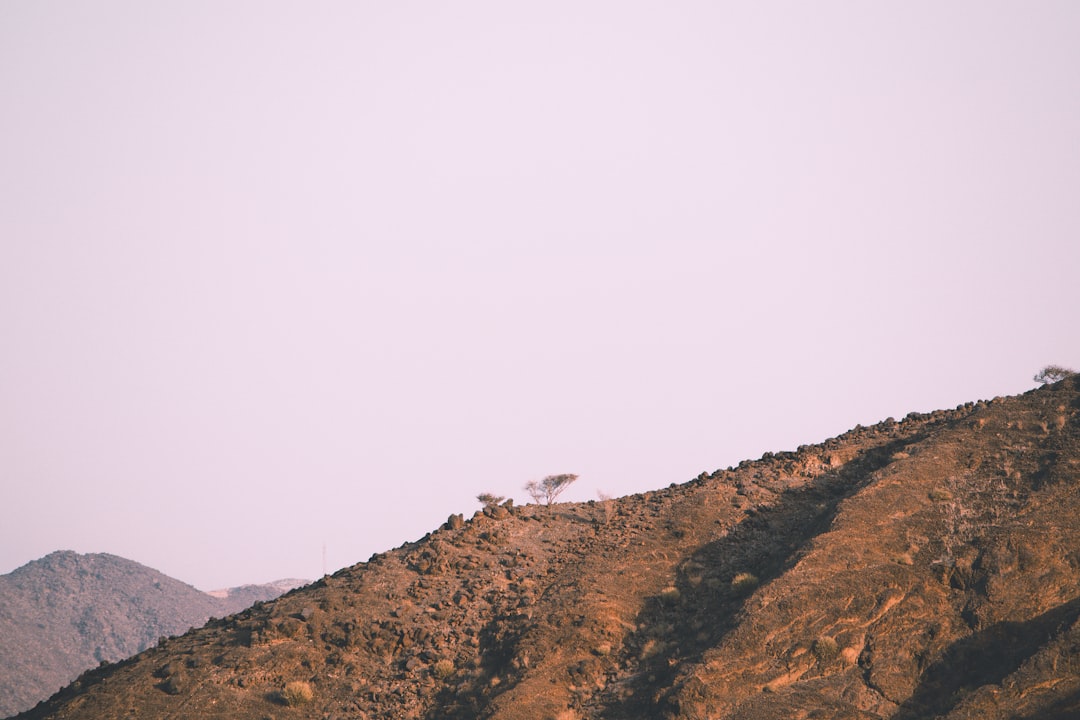 Layered