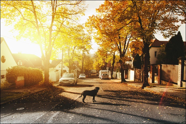 가정용 산업용 전기요금계산기 간편 사용법