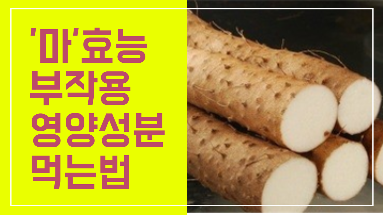 삼베 효능·삼베 효능·위염에 좋은 음식 9
