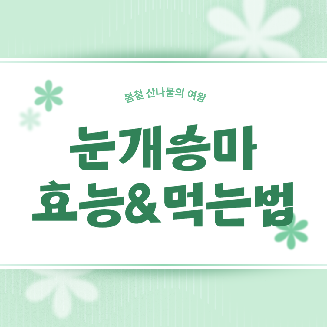 눈개승마 효능 먹는 법