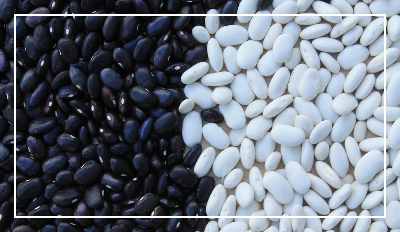 흰콩과 검은콩