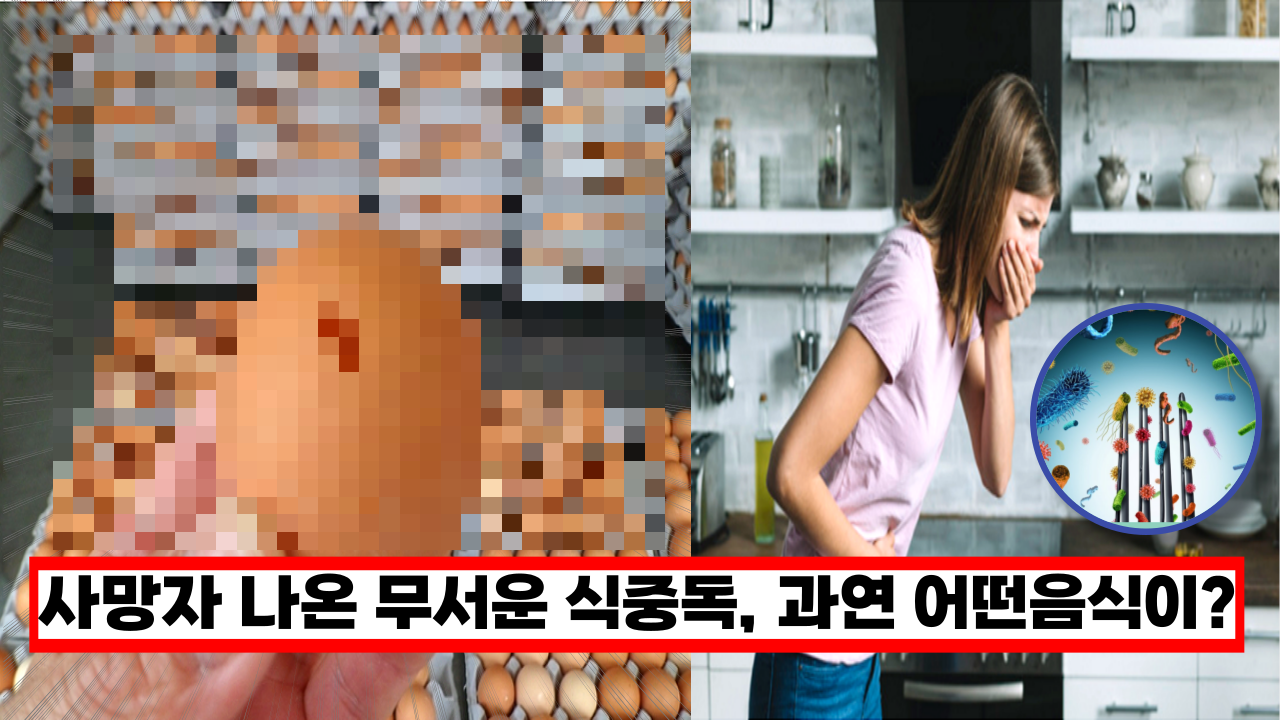  '정말 조심하세요' 사망자가 나온 무서운 식중독 과연 어떤 음식 (+여름 식중독 70% 원인)