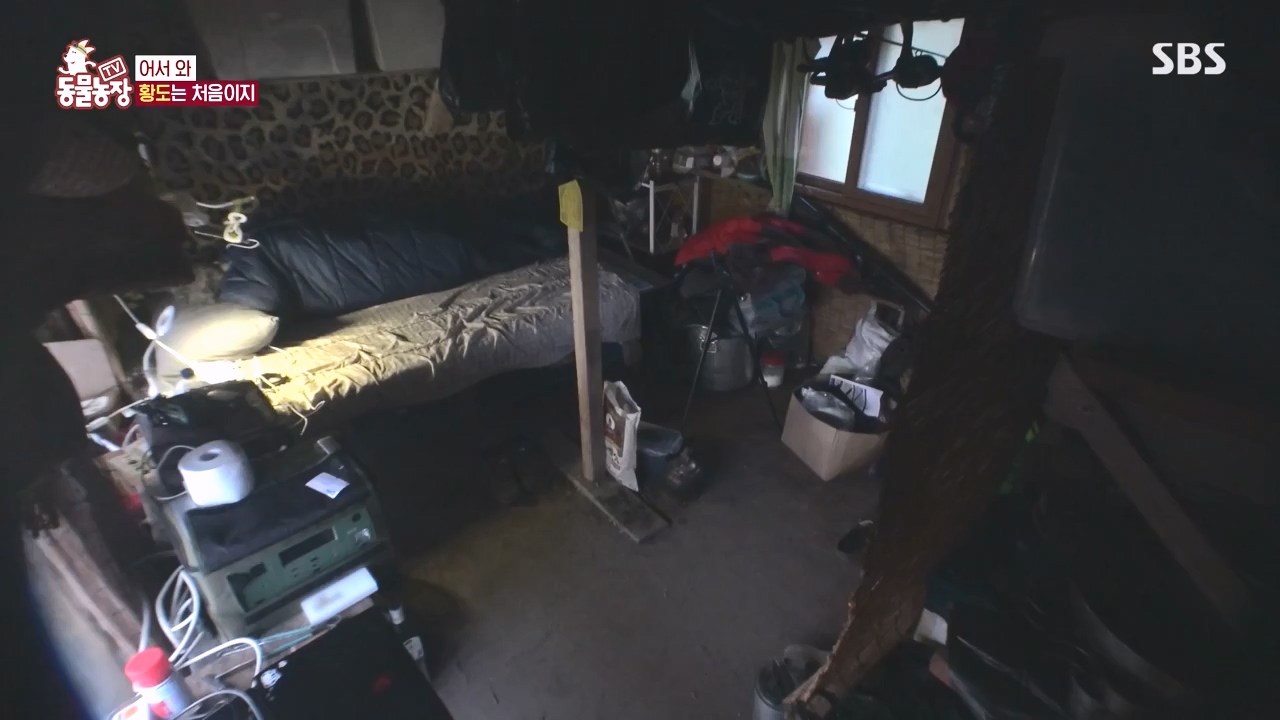 TV 동물농장.E1171.240513p-NEXT.mp4_20240512_163333.009.jpg