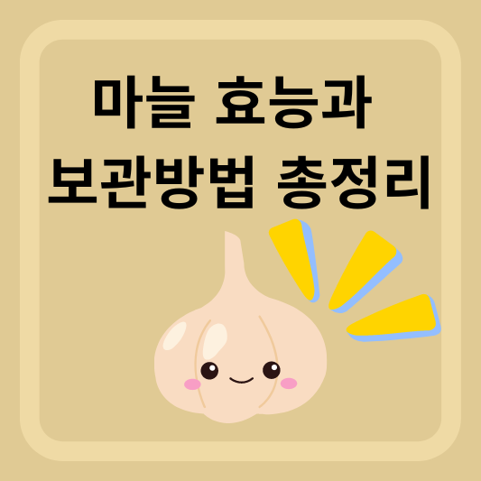 마늘 효능과 보관방법 총정리