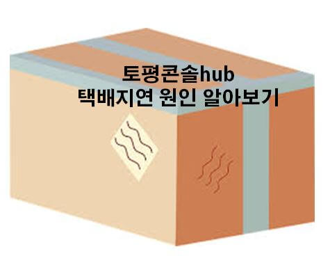  토평콘솔hub 배송지연 원인 알아보기