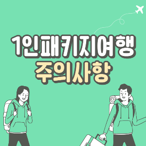 1인패키지여행