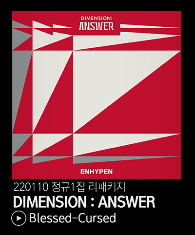 디멘션앤써