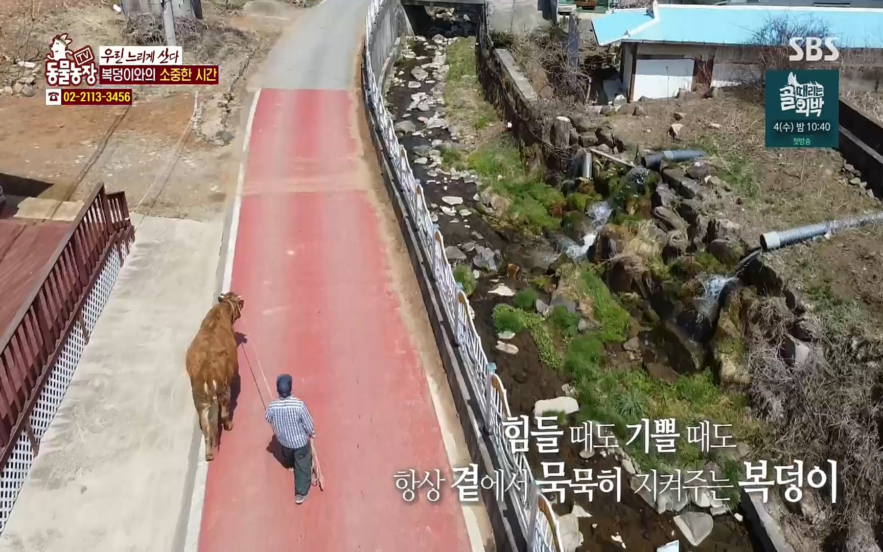 TV 동물농장.E1067.220501p.H264-F1RST.mp4_20220501_184321.580.jpg